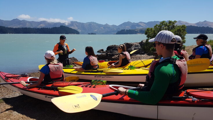 Kayaking in Lyttelton with Adventure By Nature