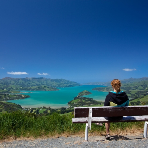 lady sitting on seat looking at Akaroa Harbor
