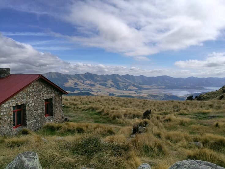 Lyttleton Harbour from Packhorse Hut