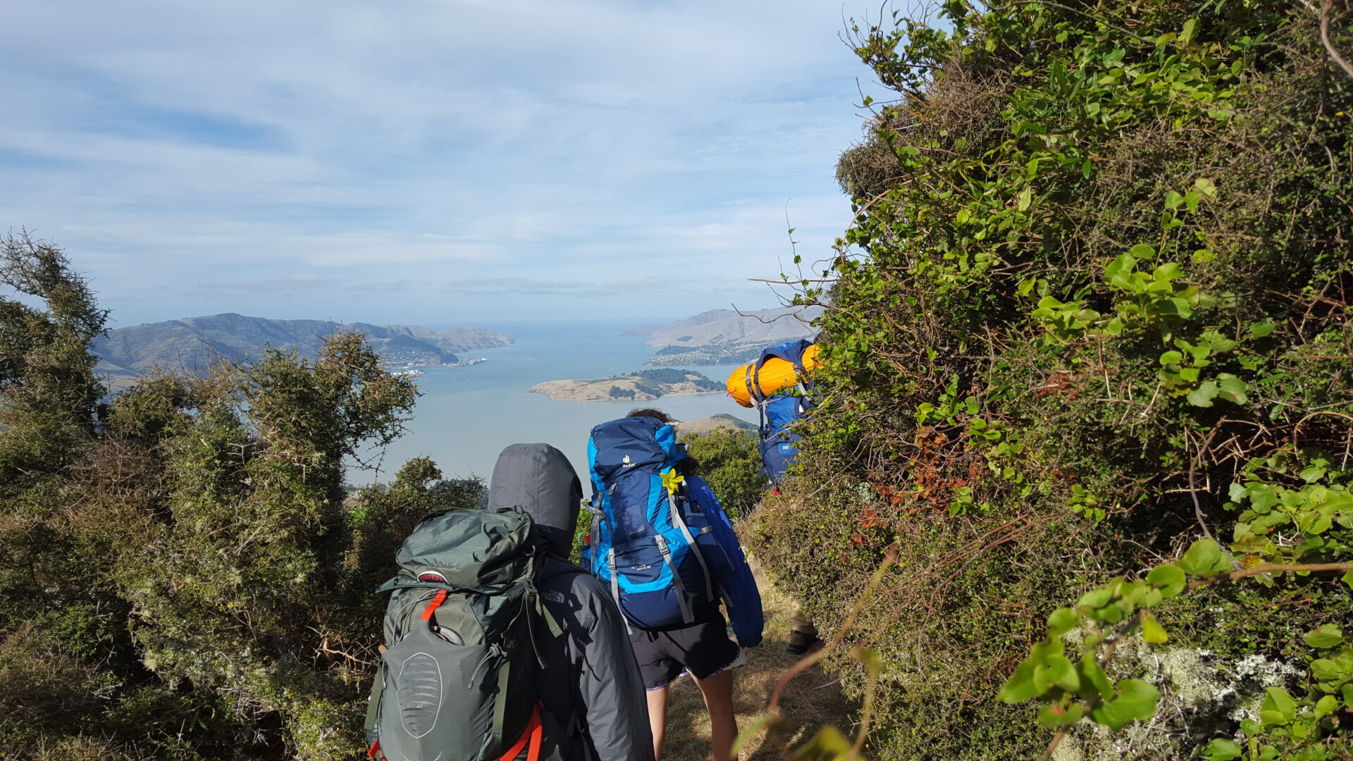 Te Ara Pātaka - Christchurch to Akaroa - Adventure by Nature ...