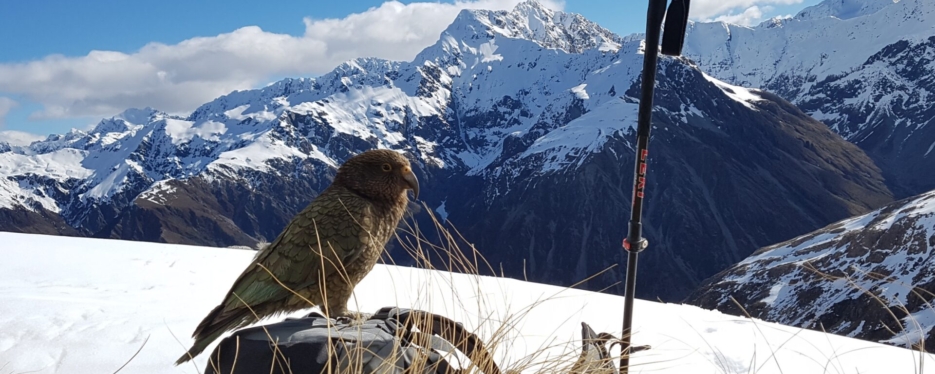 Explore Arthurs Pass with Adventure By Nature
